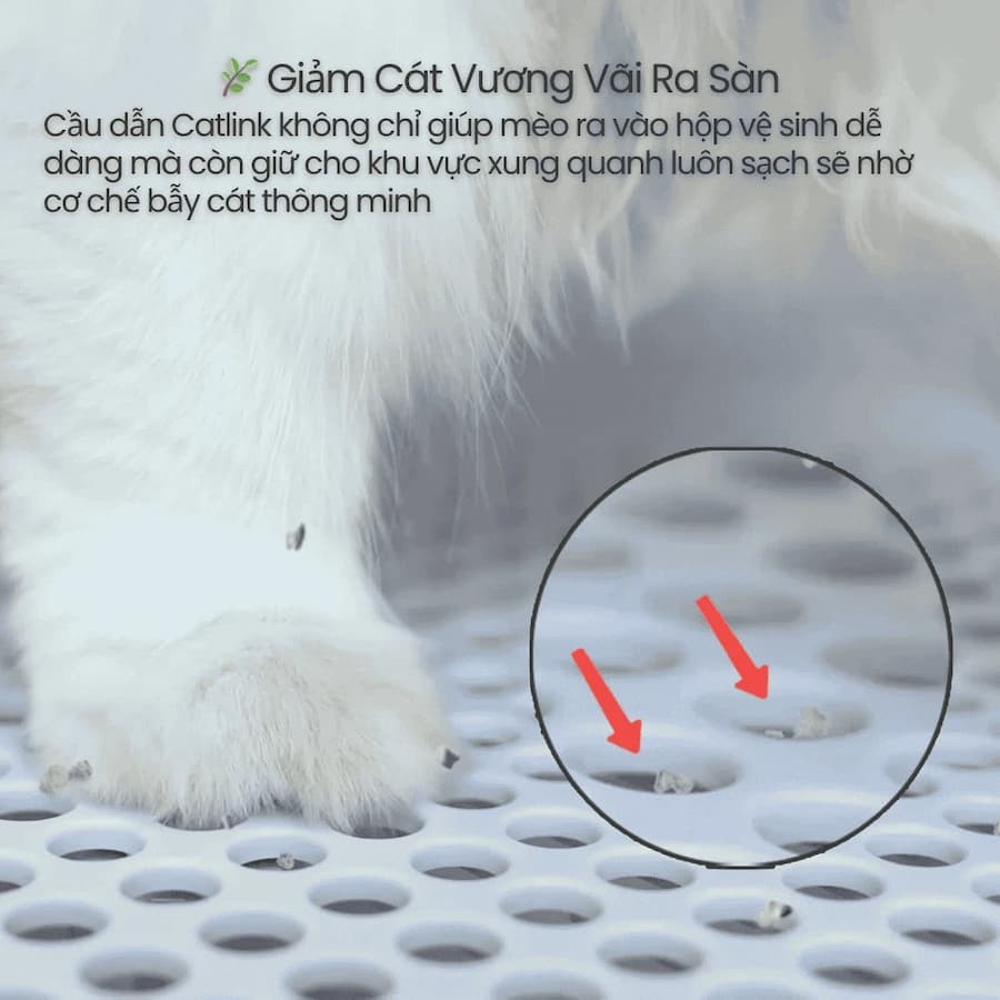 Tính năng và lợi ích chính Bậc thang gắn thêm cho máy vệ sinh tự động CATLINK