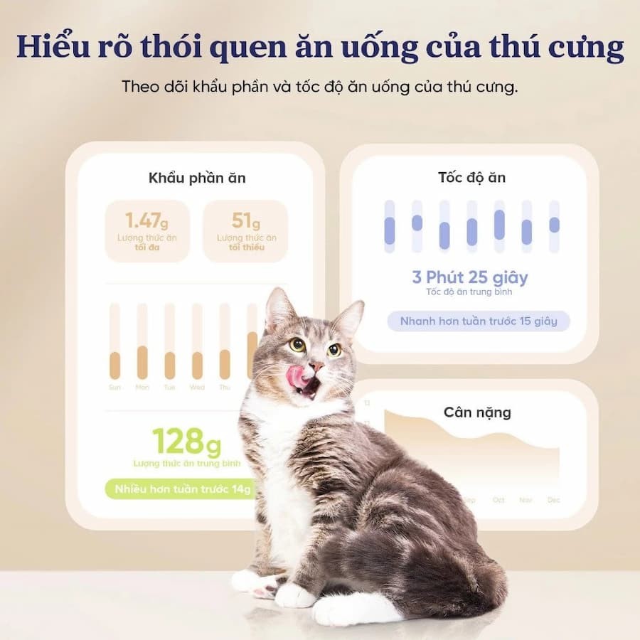 Điểm nổi bật Máy cho chó mèo ăn thông minh Pawsync